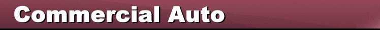 Commercial Auto Insurance